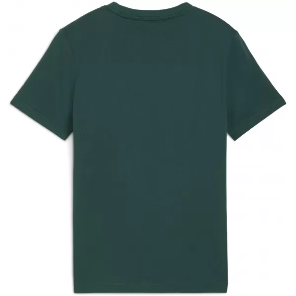  Tricou pentru copii PUMA MID90S GRAPHIC TEE III 688472-75 TEREN VERDE 