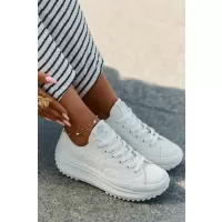 alb