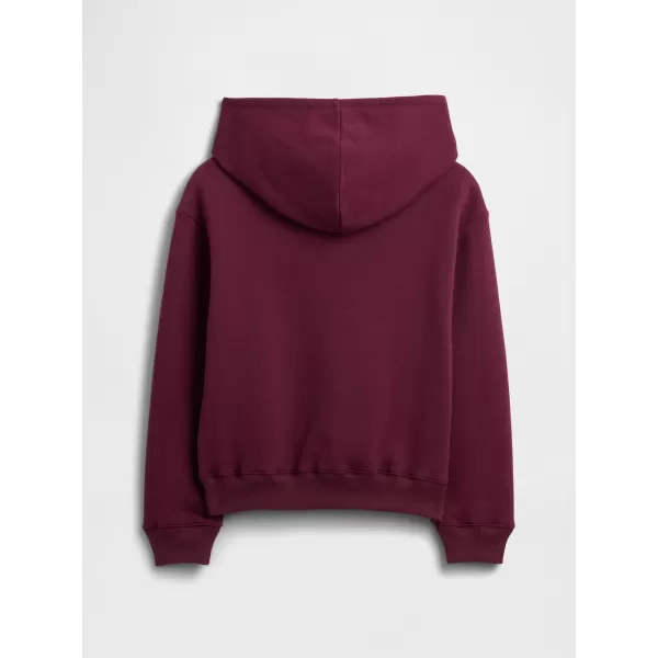  Hanorac pentru copii GAP LOGO HOODIE PULLOVER 839160-00 LUREX VISINIU 