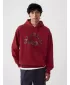 Hanorac pentru bărbați GAP ATHLETIC ARCH PULLOVER HOODIE 534173-00 ARȚAR JAPONEZ