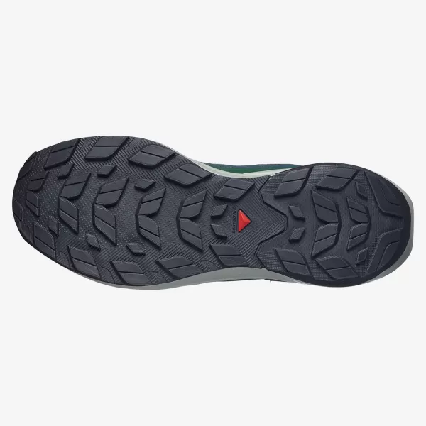  Pantofi pentru bărbați SALOMON ELIXIR ACTIV GTX L49229800 SCARAB/GREEN GABLES/CHILI 