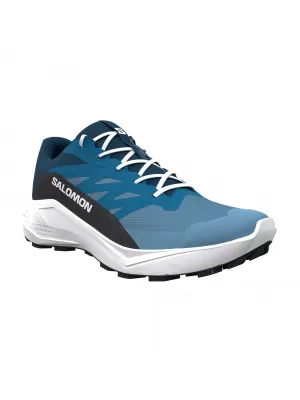 Pantofi pentru bărbați SALOMON ALPHAGLIDE L48000400 NIAGARA/MYKONOS BLUE/GIBRALTAR SEA