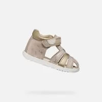 Bej