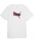 Tricou pentru bărbați PUMA GRAPHICS TEE 69435502 PUMA ALB