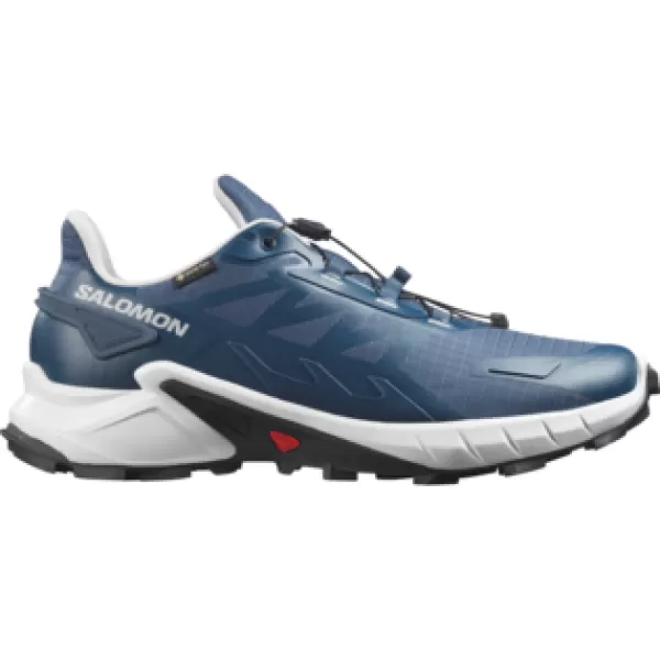  Pantofi pentru bărbați SALOMON SUPERCROSS 4 GORE-TEX L45447400 VRAJIT/ROCA LUNARA/NEGRU 