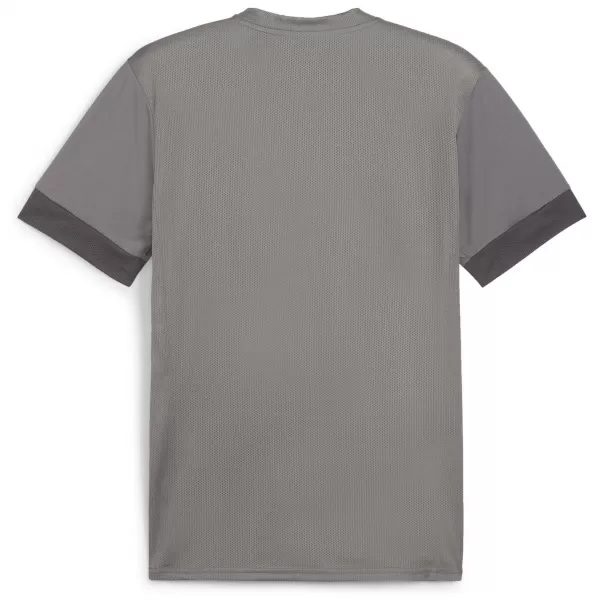  Tricou pentru bărbați PUMA TEAMGOAL MATCHDAY JERSEY 705747-13 FONTĂ/ALB/GRI UMBRĂ 