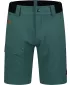 Pantaloni scurți pentru bărbați NORDBLANC CHARGE NBSPM8344 VERDE