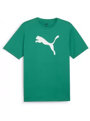 Tricou pentru bărbați PUMA TEAMRISE LOGO JERSEY COTTON 658705-05 SPORT GREEN/ VERDE SPORT/ALB PUMA