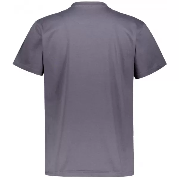  Tricou pentru bărbați ALTISPORT NP/ALMST20001 GRI ARDEZIE 