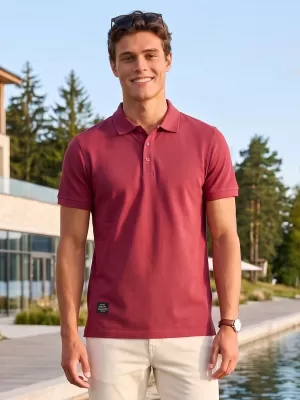 Tricou pentru bărbați cu guler ALTISPORT NP/ALMST90601 BURGUNDIA