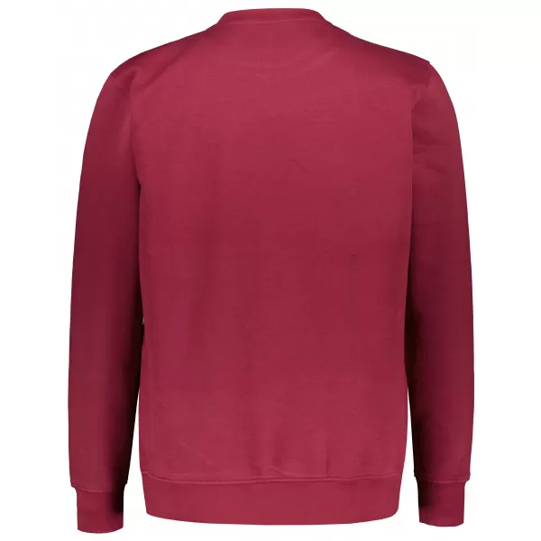  Hanorac pentru bărbați ALTISPORT NP/ALMST43001 BURGUNDIA 
