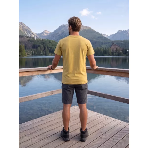  Tricou pentru bărbați ALPINE PRO TERMES 4 VARIANTA DE PC DE SUD MOSS 