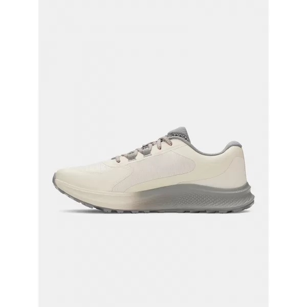  Pantofi pentru bărbați UNDER ARMOUR CHARGED BANDIT TR 3 3028371-289 MARO 