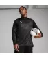 Tricou funcțional pentru bărbați PUMA TEAMCUP TRAINING 1/4 ZIP TOP 659164-03 PUMA NEGRU/PUMA ARGINTIU