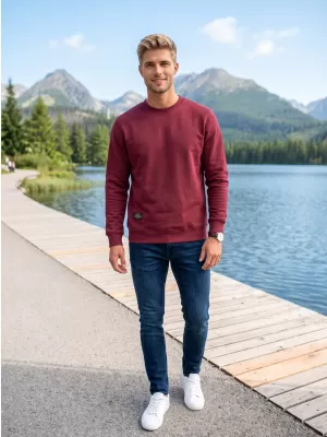 Hanorac pentru bărbați ALTISPORT NP/ALMST43001 BURGUNDIA