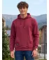 Hanorac pentru bărbați ALTISPORT NP/ALMST44001 BURGUNDIA