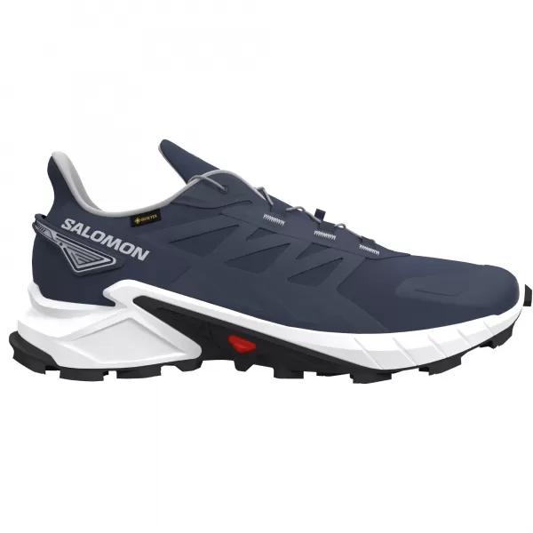  Pantofi pentru bărbați SALOMON SUPERCROSS 4 GORE-TEX L45447400 VRAJIT/ROCA LUNARA/NEGRU 