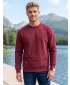 Hanorac pentru bărbați ALTISPORT NP/ALMST43001 BURGUNDIA