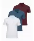 Tricou pentru bărbați cu guler OMBRE OM-POBS-0171 ALB/MARO/ALBASTRU ÎNCHIS