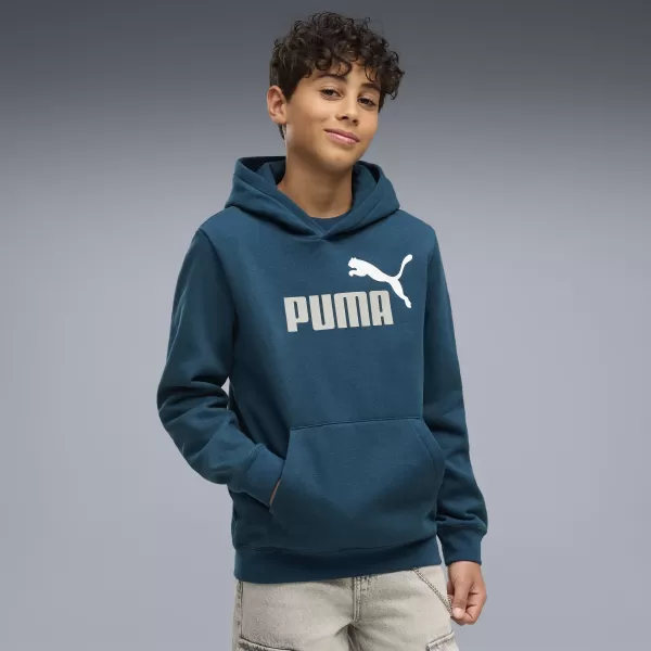  Hanorac pentru copii PUMA ESS 2 COLOR NO. 1 LOGO HOODIE FL B 68582236 BENZINĂ LA MIEZUL NOPȚII 