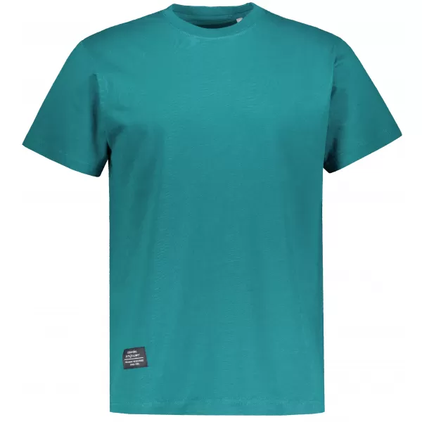  Tricou pentru bărbați ALTISPORT NP/ALMST20001 TEAL 