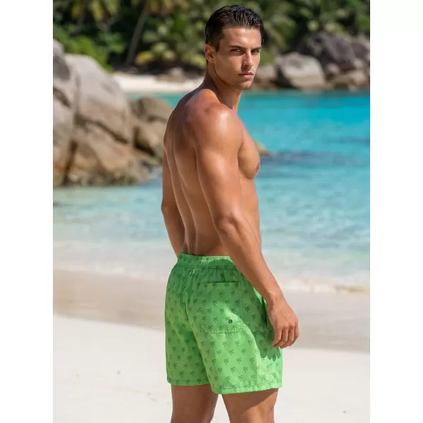  Pantaloni scurți pentru bărbați DSTREET SX2585 VERDE 