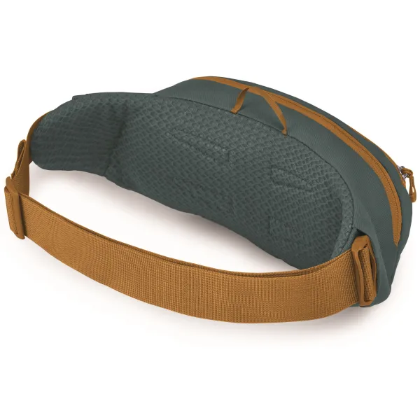  Borsetă OSPREY DAYLITE WAIST TORRENT BLUE 