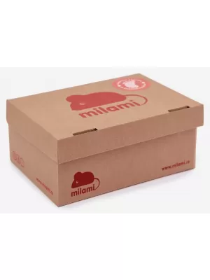 Papuci copii MILAMI BF1/BR-12 GRI
