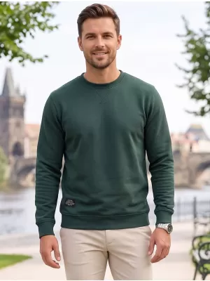 Hanorac pentru bărbați ALTISPORT NP/ALMST43001 VERDE STICLA
