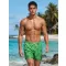 Pantaloni scurți pentru bărbați DSTREET SX2589 VERDE