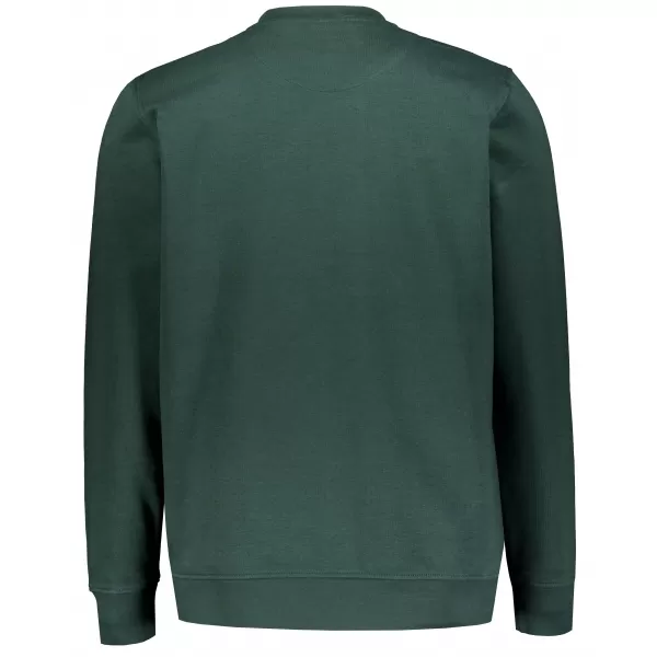  Hanorac pentru bărbați ALTISPORT NP/ALMST43001 VERDE STICLA 