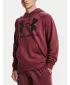 Hanorac pentru bărbați UNDER ARMOUR RIVAL FLEECE BIG LOGO HD 1357093-652 ROŞU