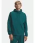 Jachetă pentru bărbați UNDER ARMOUR VIBE WOVEN JACKET 6003001-338 VERDE