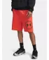 Pantaloni scurți pentru bărbați UNDER ARMOUR RIVAL LW GRAPHIC SHORTS 6014689-690 ROŞU