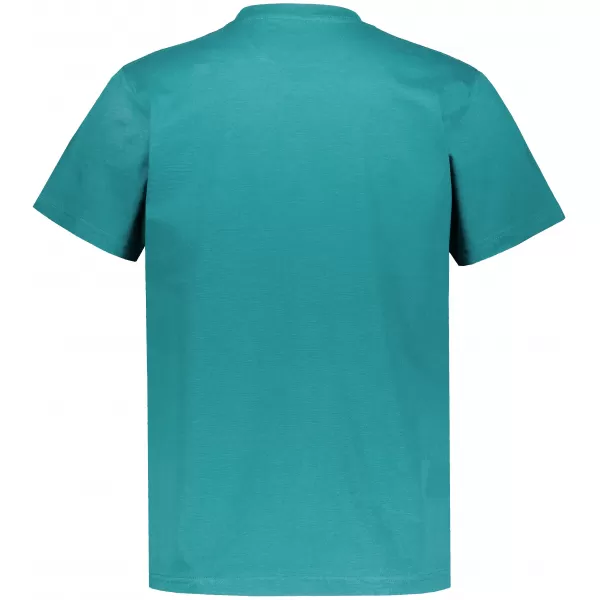  Tricou pentru bărbați ALTISPORT NP/ALMST20001 TEAL 