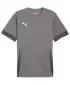 Tricou pentru bărbați PUMA TEAMGOAL MATCHDAY JERSEY 705747-13 FONTĂ/ALB/GRI UMBRĂ