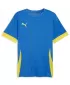 Tricou pentru bărbați PUMA TEAMGOAL MATCHDAY JERSEY 705747-16 E.BLU.LIMONADA/FASTER YELLOW