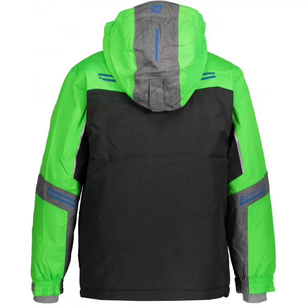  Sacou de schi ALPINE PRO SARDARO KJCM122 VERDE 