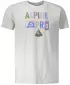 Cămaşă ALPINE PRO ABIC 7 MTSP404 GRI