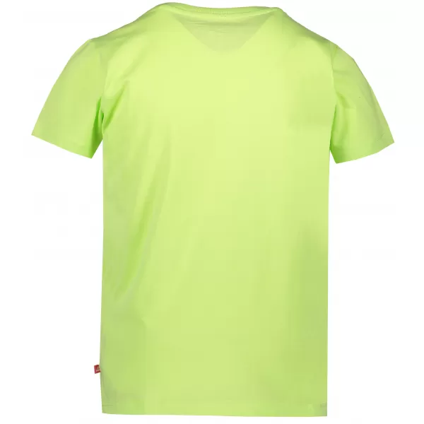  T -thirt ALPINE PRO DAYO 3 KTSR237 VERDE 