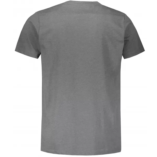  Tricou pentru bărbați cu mâneci scurte ALPINE PRO SKULD MTSS520 GRI 