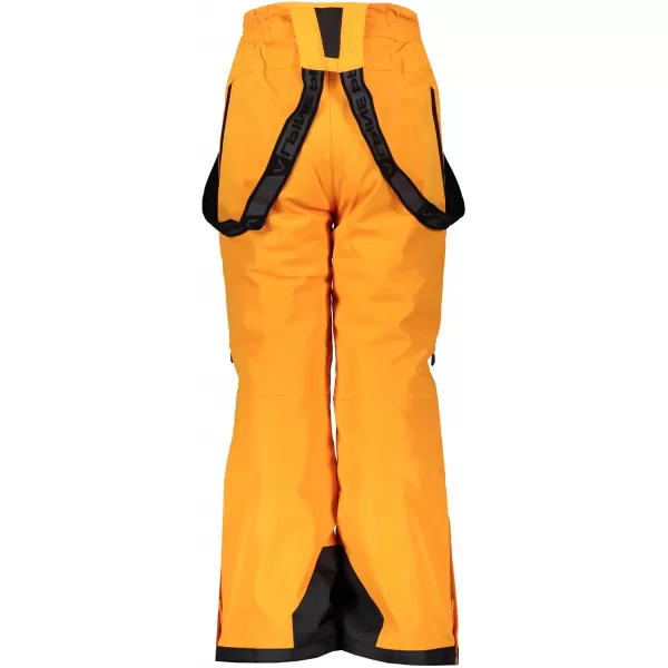  Pantaloni de schi pentru copii ALPINE PRO NUDDO 5 KPAS202 CHIHLIMBAR 