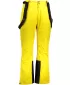 Pantaloni de schi pentru bărbați ALPINE PRO SANGO 8 MPAS477 CHIHLIMBAR