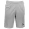 Pantaloni scurți pentru bărbați ALTISPORT ALM006612 EVIDENȚIERI GRI ÎNCHIS