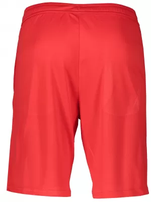 Pantaloni scurți pentru bărbați ALTISPORT ALM006612 ROȘU