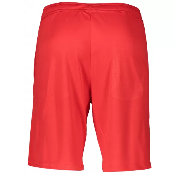  Pantaloni scurți pentru bărbați ALTISPORT ALM006612 ROȘU 