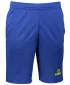 Pantaloni scurți pentru bărbați ALTISPORT ALM006612 ALBASTRU REGAL
