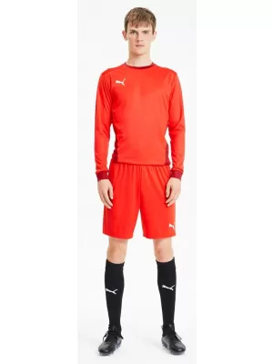 Pantaloni scurți pentru bărbați PUMA TEAMGOAL 23 KNIT SHORTS 704262-01 PUMA ROȘU