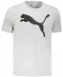 Tricou pentru bărbați PUMA ACTIVE BIG LOGO TEE 586724-09 GRI