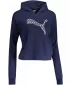 Hanorac de dama PUMA POWER SUMMER GRAPHIC HOODIE TR 848402-06 ALBASTRU